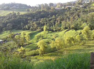 Ecoparque the Arenillo Alcázares