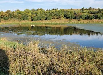 iowa/prairie-pothole-region/attraction/dog-creek-park