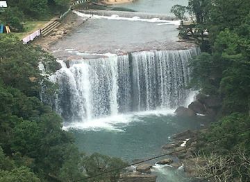 india/northeast-india/attraction/jarain-pitcher-plant-lake