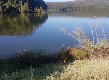 madagascar/ankarafantsika-national-park/attraction/lake-ravelobe