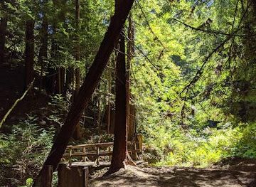 california/menlo-park/attraction/butano-state-park