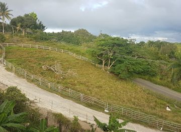 puerto-rico/arecibo-observatory/attraction/hacienda-mis-suenos
