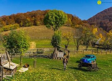 romania/bucharest/attraction/outdoor-activities