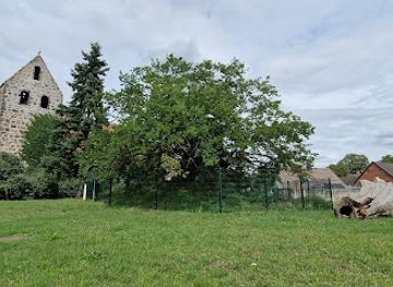 germany/anhalt/attraction/the-mulberry-tree-from-schermen
