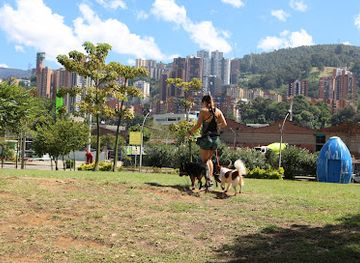 colombia/los-llanos/attraction/medellin-modern-art-museum