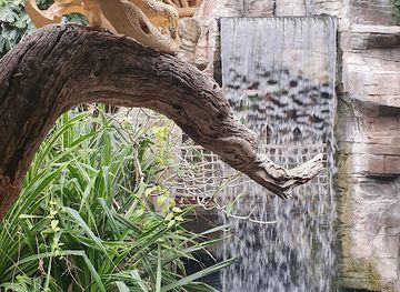 germany/hamburg/eimsbuttel/attraction/tropen-aquarium-am-tierpark-hagenbeck