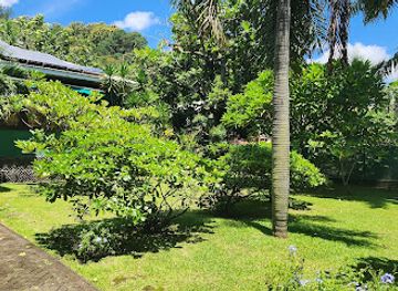 french-polynesia/tahiti/pirae/attraction/james-norman-hall-museum