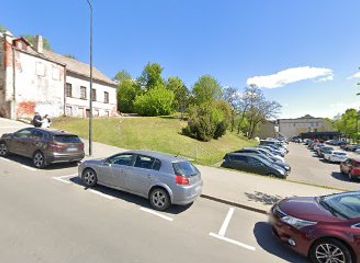 lithuania/kaunas/attraction/paminklas