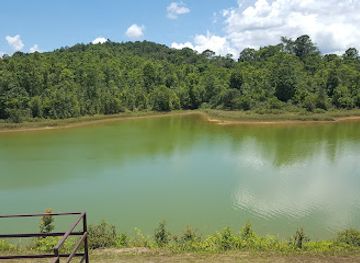 thailand/khao-yai-national-park/attraction/pong-thung-kwang