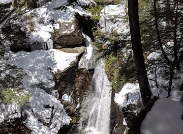 vermont/stowe-mountain-resort/attraction/mill-trail