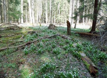 czechia/north-moravia/attraction/hersica