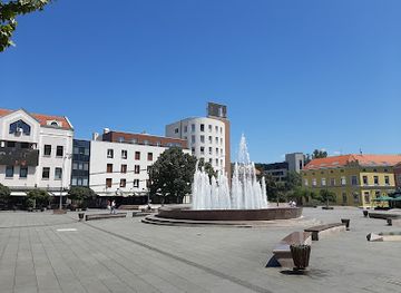 bosnia-and-herzegovina/tuzla/attraction/turisticki-voz