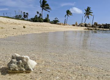 turks-and-caicos-islands/west-caicos/attraction/taque-harbour