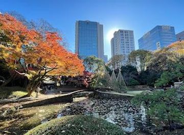 japan/tokyo/attraction/koishikawa-korakuen-garden