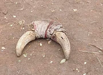 ethiopia/omo-valley/attraction/omo-valley-tourist-attraction-zone