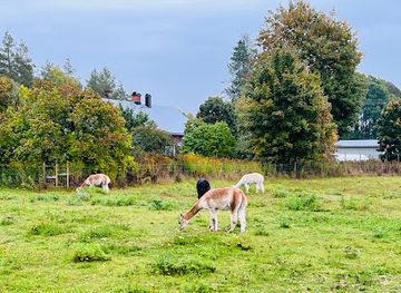 sweden/bjorkliden/attraction/karlstad-alpackagard