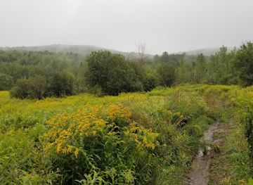vermont/sugarbush-resort/attraction/enchanted-forest-trail