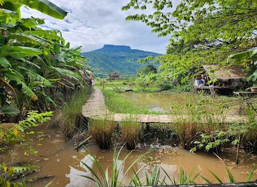 thailand/loei/attraction/bananaland