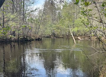 new-jersey/batsto-village/attraction/batsto-bench