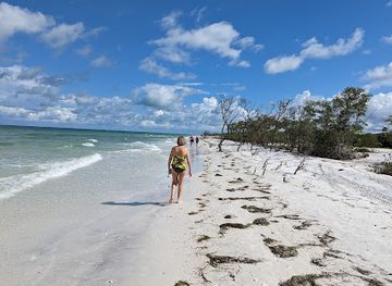 florida/honeymoon-island-state-park/attraction/osprey-trailhead