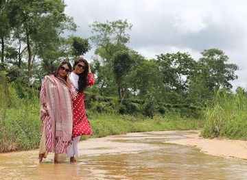 bangladesh/lawachara-national-park/attraction/vurvuria-chara