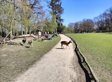germany/cologne/attraction/wildpark-dusseldorf-grafenberg