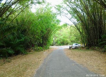 trinidad-and-tobago/penal-debe/attraction/bamboo-cathedral