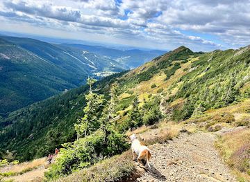 czechia/krkonose-national-park/attraction/stara-bucharova-cesta