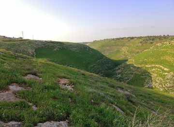 jordan/umm-qais/attraction/wadi-al-jouq