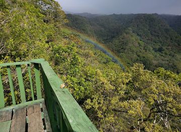 costa-rica/monteverde-cloud-forest/attraction/ecological-sanctuary