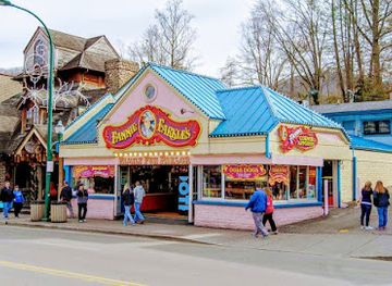 tennessee/gatlinburg/attraction/fannie-farkle-s-amusement