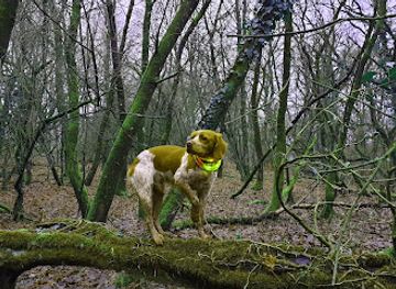 luxembourg/upper-moselle-nature-park/attraction/kuebebierg-zone-protegee-nature-reserve