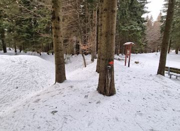 germany/thuringian-forest/attraction/barenfanganlage