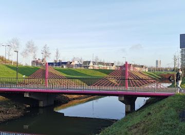 netherlands/rijnmond/attraction/200-brug