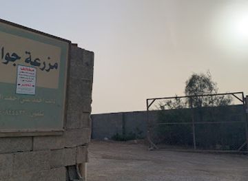 saudi-arabia/dammam/attraction/marbat-briti-for-arabian-horses