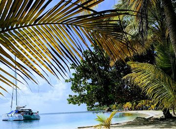 panama/guna-yala/attraction/we-sail-san-blas