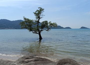 thailand/koh-chang/attraction/the-lonely-tree-in-the-sea