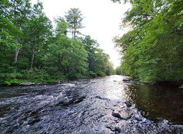 new-jersey/delaware-water-gap-national-recreation-area/attraction/thunder-swamp-trail-junction