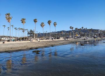 california/san-diego/la-jolla/attraction/la-jolla-shores-beach