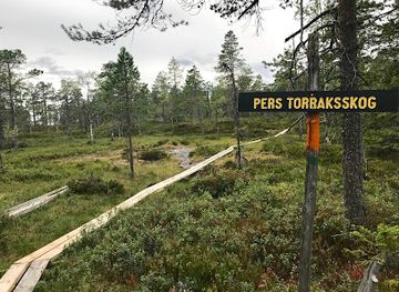 sweden/dalarna/attraction/gyllbergen