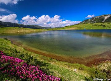 romania/caras-severin/attraction/glacial-lake-netis