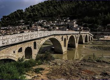 albania/tepelene/attraction/gorica-bridge