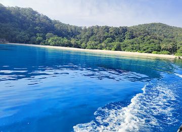 malaysia/terengganu/attraction/chagar-hutang-turtle-sanctuary