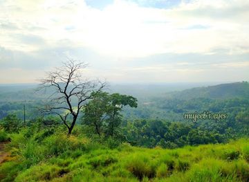 india/kerala/attraction/nadukani-view-point-kothamangalam