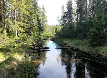 sweden/medelpad/attraction/navarans-naturreservat