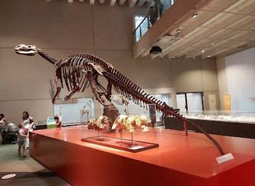 australia/brisbane/attraction/queensland-museum-kurilpa-brisbane