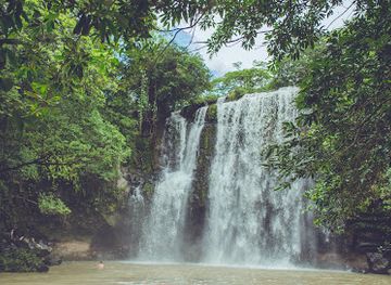 costa-rica/rincon-de-la-vieja-national-park/attraction/blue-pass-palo-verde-boat-tour-safari-at-bebedero