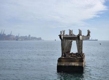 chile/vina-del-mar/attraction/muelle-baron
