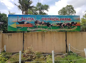 malaysia/negeri-sembilan/attraction/jelita-ostrich-farm
