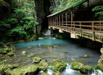 japan/nagato/attraction/akiyoshidai-quasi-national-park